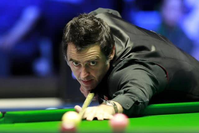 体育事业树 体育事业树